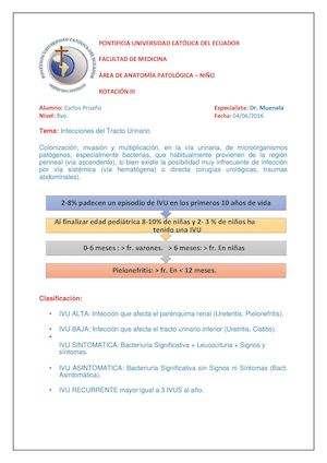 Infección Tracto Urinario
