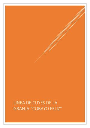 Cuy Linea Andina
