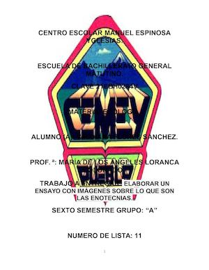 Ensayo De Ecotecnias