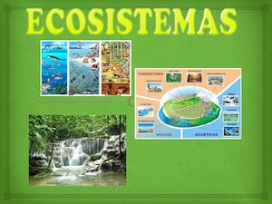 Ecosistemas