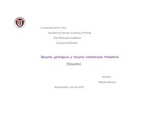 Recurso jerarquico y Contencioso Administrativo Esquema