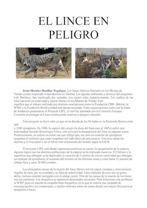 Reportaje. El lince ibérico