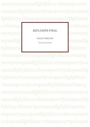 Reflexión Final 3
