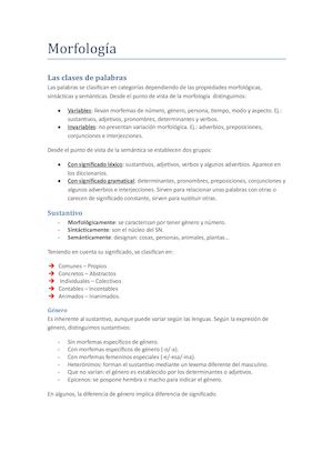 Morfología