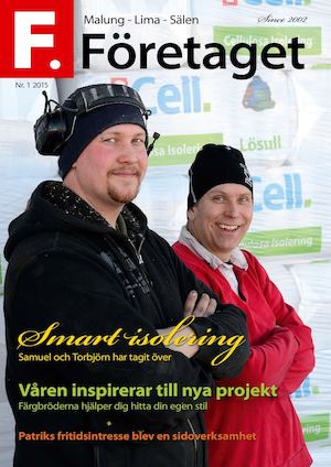 Företaget 1 2015