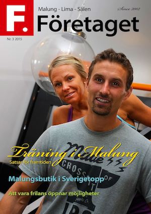 Företaget 3 2015