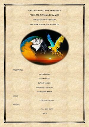 Informe De Tic Auca Puerto