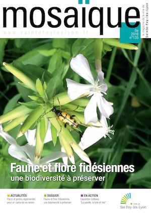 Mosaïque n°135 Été 2016