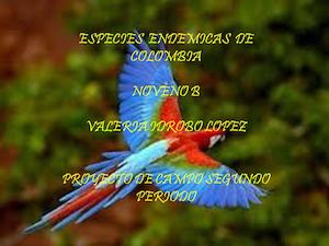 Presentación Aves Endemicas