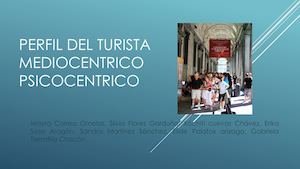 Perfil Del Turista Mediocentrico Psicocentrico