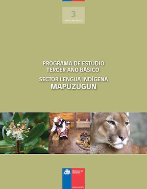 Planes  y Programa: Tercero básico.