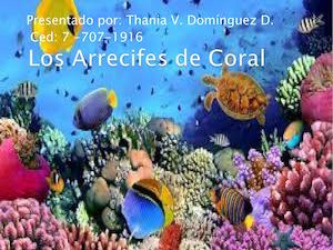 Los Arrecifes De Coral