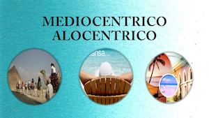 Perfil Del Turista Mediocentrico Alocentrico
