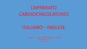 APPARATO CARDIOCIRCOLATORIO: ITALIANO - INGLESE