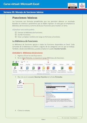 Guia05 Insertar Funciones Básicas 2