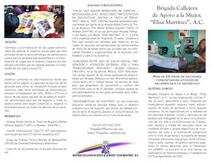 Triptico Brigada