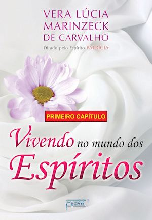 Primeiro capítulo - Vivendo no mundo dos espíritos