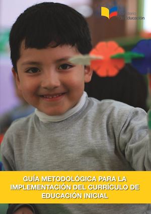 Guia Metodologica Para Implementacion Del Curriculo (1)