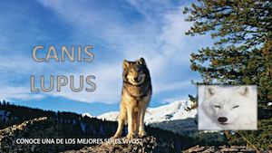 CANIS LUPUS