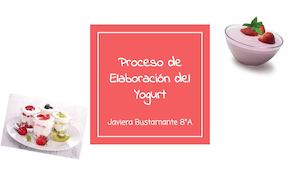 Proceso De Elaboración Del Yogurt