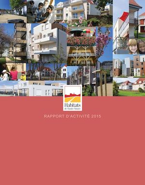 Rapport Annuel 2015