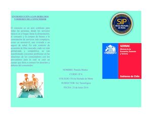 Tríptico Derechos Y Deberes Del Consumidor