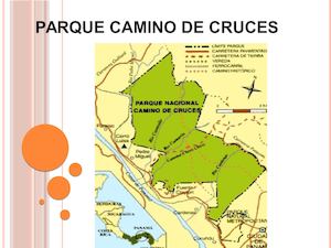 Parque Camino De Cruces