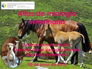 Atlas De Miología Veterinaria