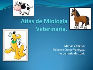 Atlas De Miología Veterinaria.