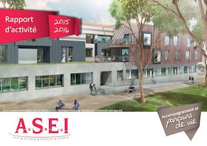 RAPPORT ACTIVITES 2015-2016 A.S.E.I