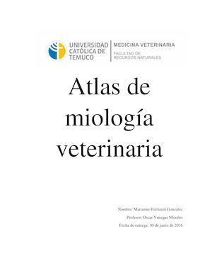 Atlas de miología veterinaria