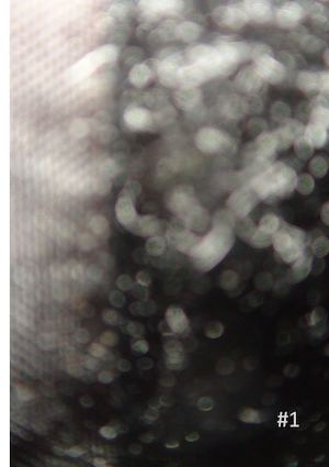 Revue Tempestaire - Numéro 1