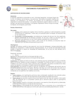 Aspiración De Secreciones