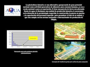 Piscicultura Para Venezuela