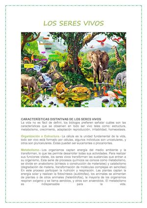 Caracteristicas De Seres Vivos