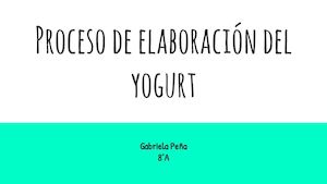Proceso De Elaboracion Del Yogurt