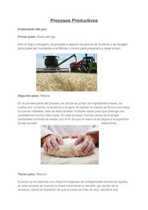 Word Proceso Productivo
