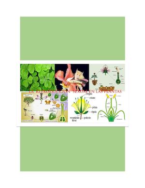 Reproducción Sexual En Las Plantas