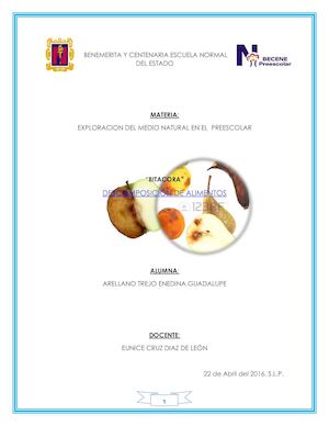 Bitacora Descomposicion De Alimentos