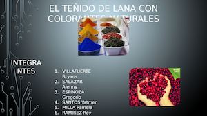 Trabajo Transversal (Teñido De Lana)