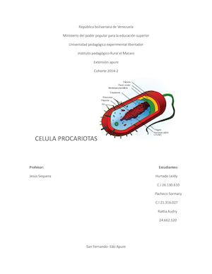 Celulas Procariotas