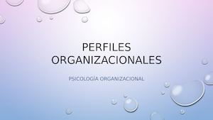 Perfiles Organizacionales
