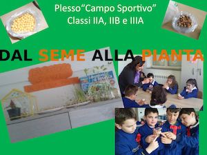 Dal Seme Alla Pianta