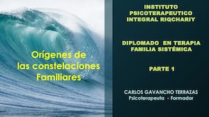 Constelaciones Sistémicas De Bert Hellinger