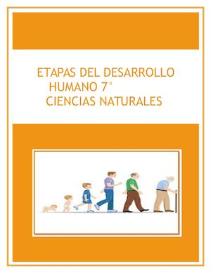 Qué Son Las Etapas Del Desarrollo Humano Calameo