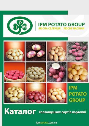 Каталог голландських сортів картоплі від компанії IPM Potato