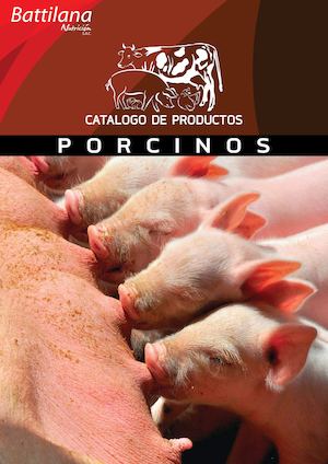 CATALOGO PORCINOS