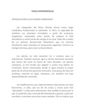 Descripcion De La Venus Atrapamoscas