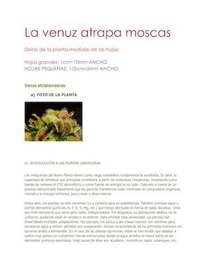 La Venuz Atrapa Moscas