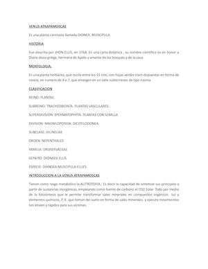 Venus Atrapamoscas